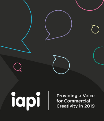 IAPI 2019 Report