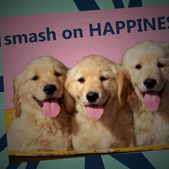 Happiness Hacks from smash