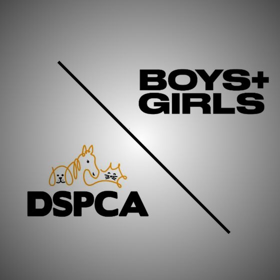 DSPCA Announce Partnership With BOYS + GIRLS