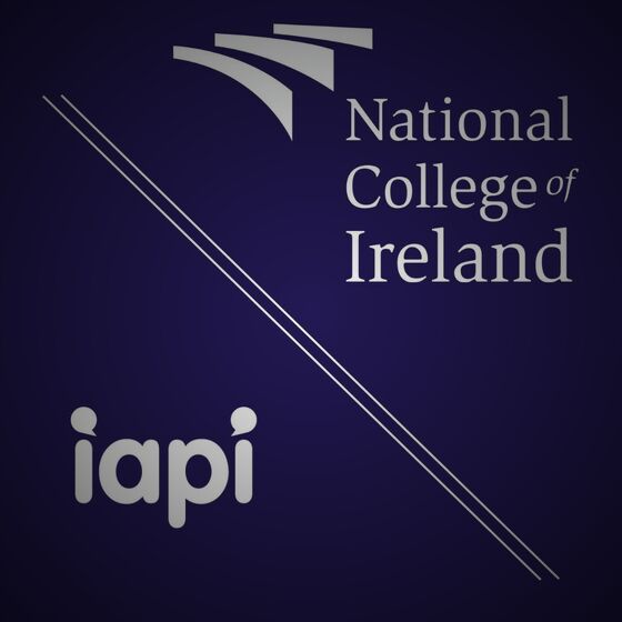 IAPI Attends National College of Ireland's 'Festival of Marketing'
