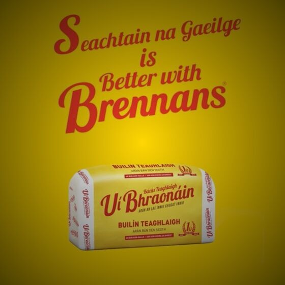 SNAG is Better with Brennans